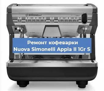 Чистка кофемашины Nuova Simonelli Appia II 1Gr S от накипи в Новосибирске